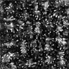 1 m2 de cosmos 1 m2 de cosmos
